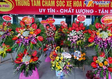 set up trung tam cham soc xe bac ninh 3
