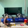 Máy nén khí Gezmany GZ600 7.5 HP 9 may nen khi gezmany-4